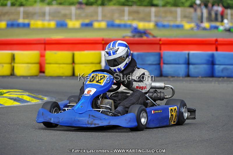 DSC_ (2461).jpg